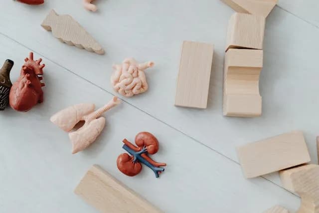 3D printing for students in Dubai — education and university projects