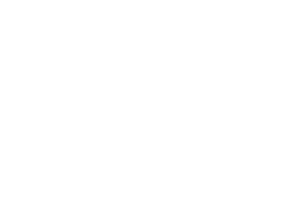 PROJECTS